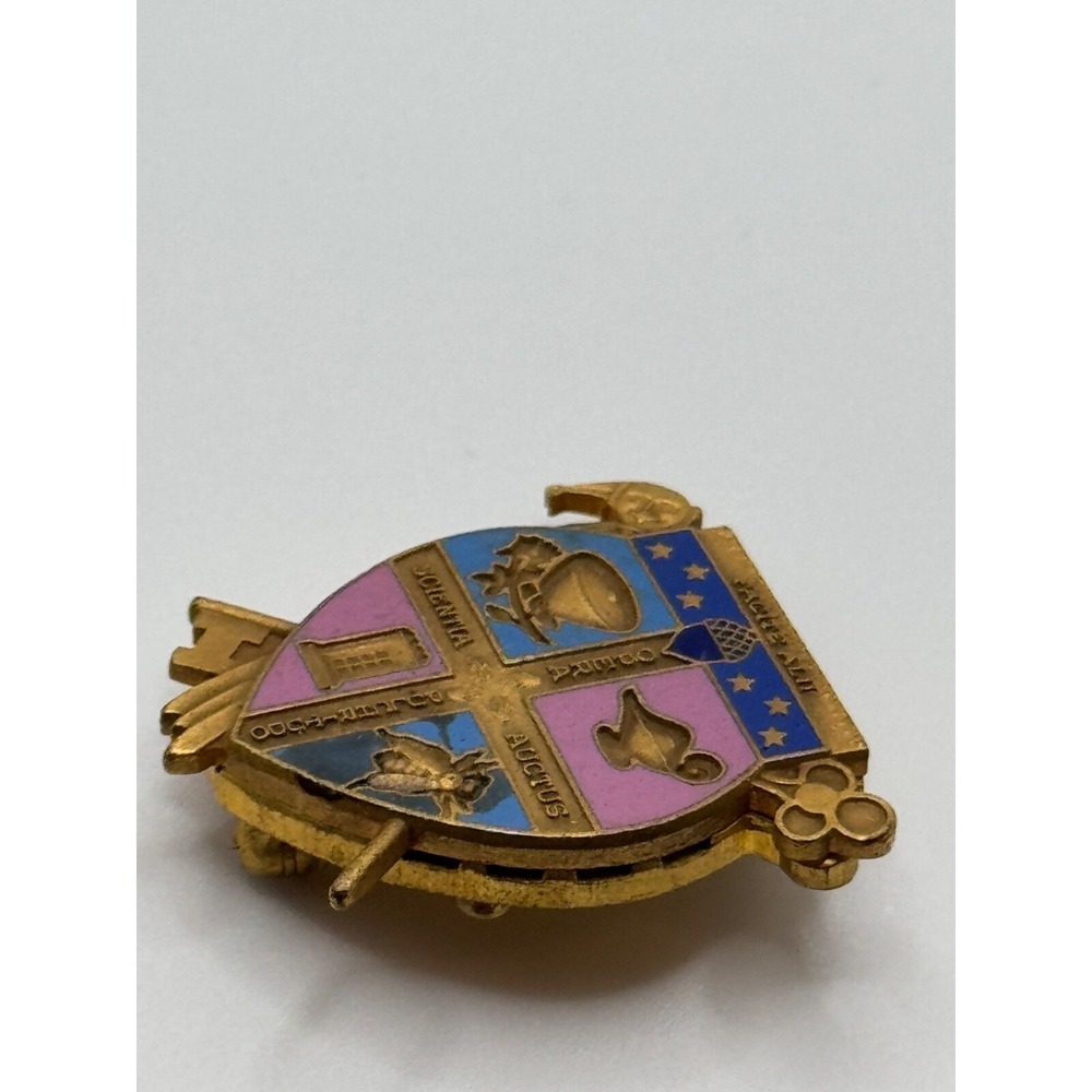 Vintage Fraternity School Opera Scientia Auctus Pulchrituoo Enamel Brooch Pin - Picture 6 of 8